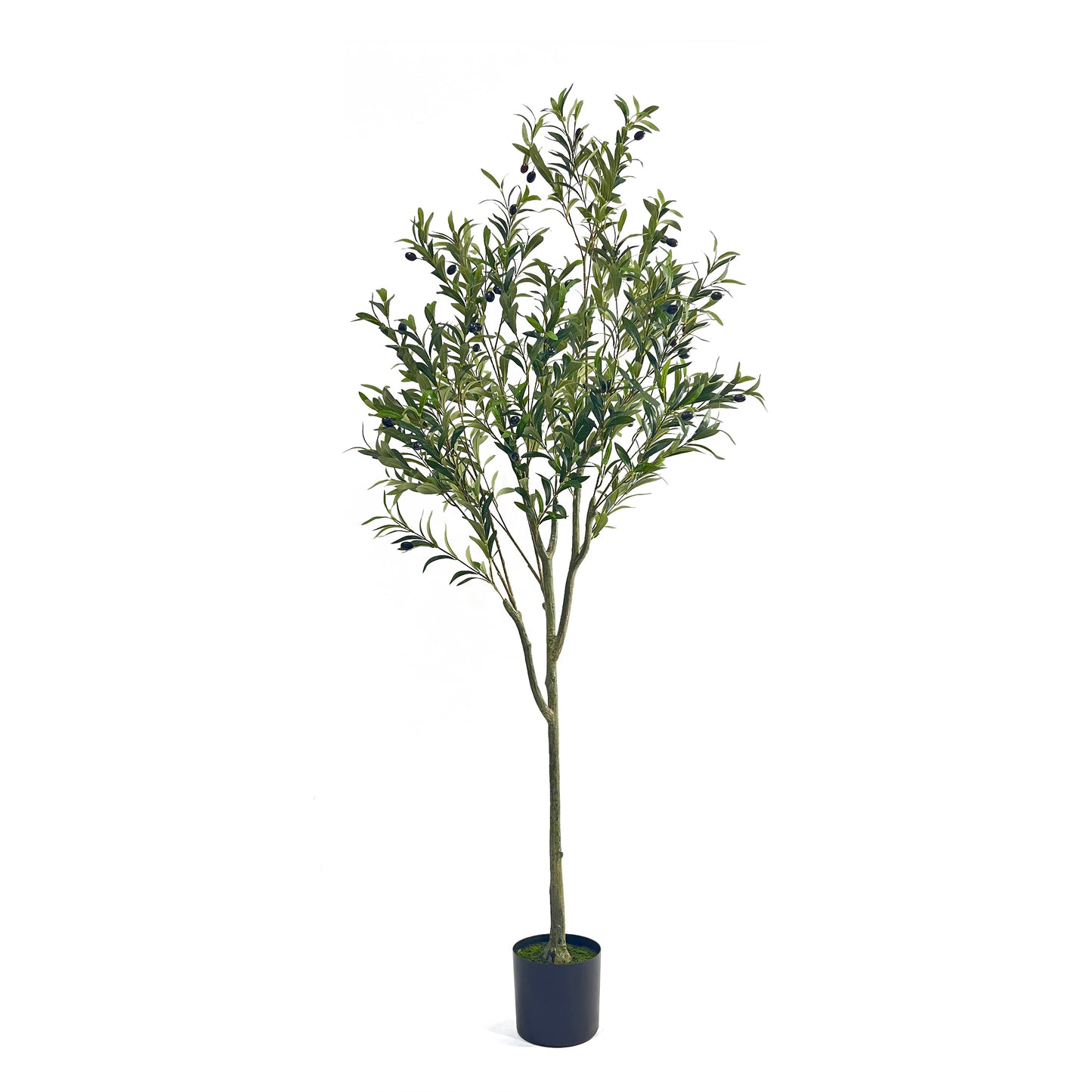 6FT Faux Olive Tree Indoor Decor