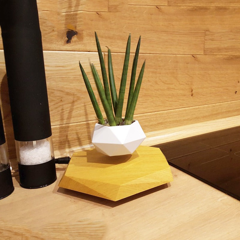 Magnetic Levitation Floating Bonsai Planter