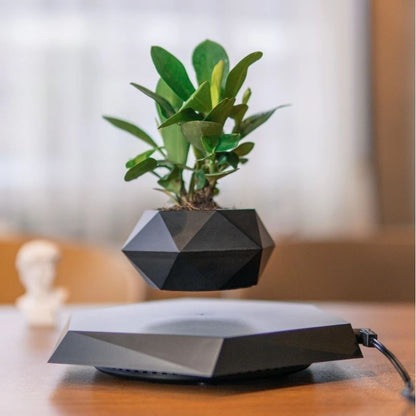 Magnetic Levitation Floating Bonsai Planter
