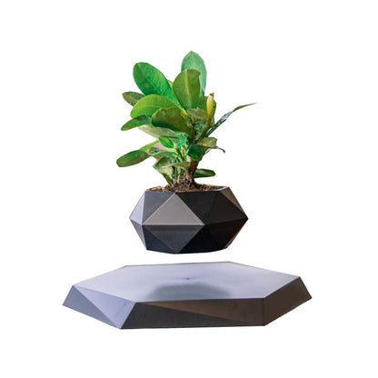 Magnetic Levitation Floating Bonsai Planter