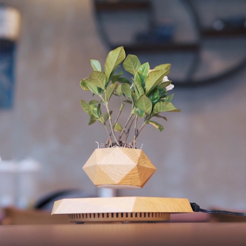 Magnetic Levitation Floating Bonsai Planter
