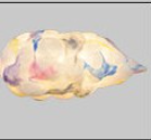 Creative Cloud Pendant Ceiling Lamp