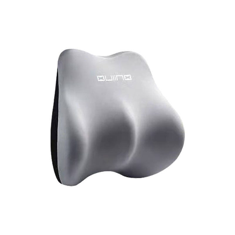 Car Seat Neck Pillow & Lumbar Support Kit