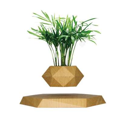 Magnetic Levitation Floating Bonsai Planter