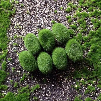 Artificial Moss Stone for DIY & Garden Decor